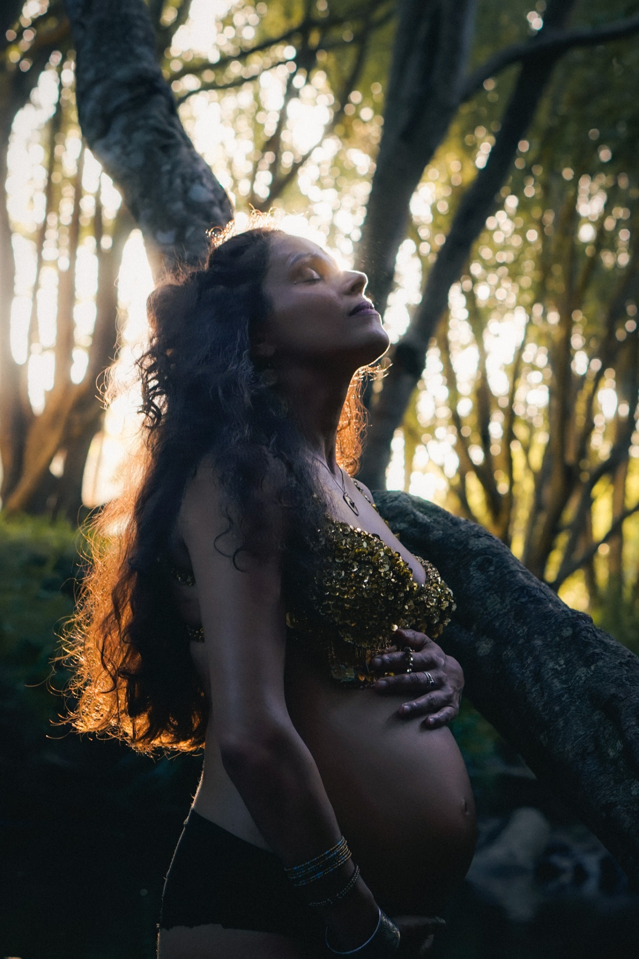 Backlit maternity portrait beneath coastal trees