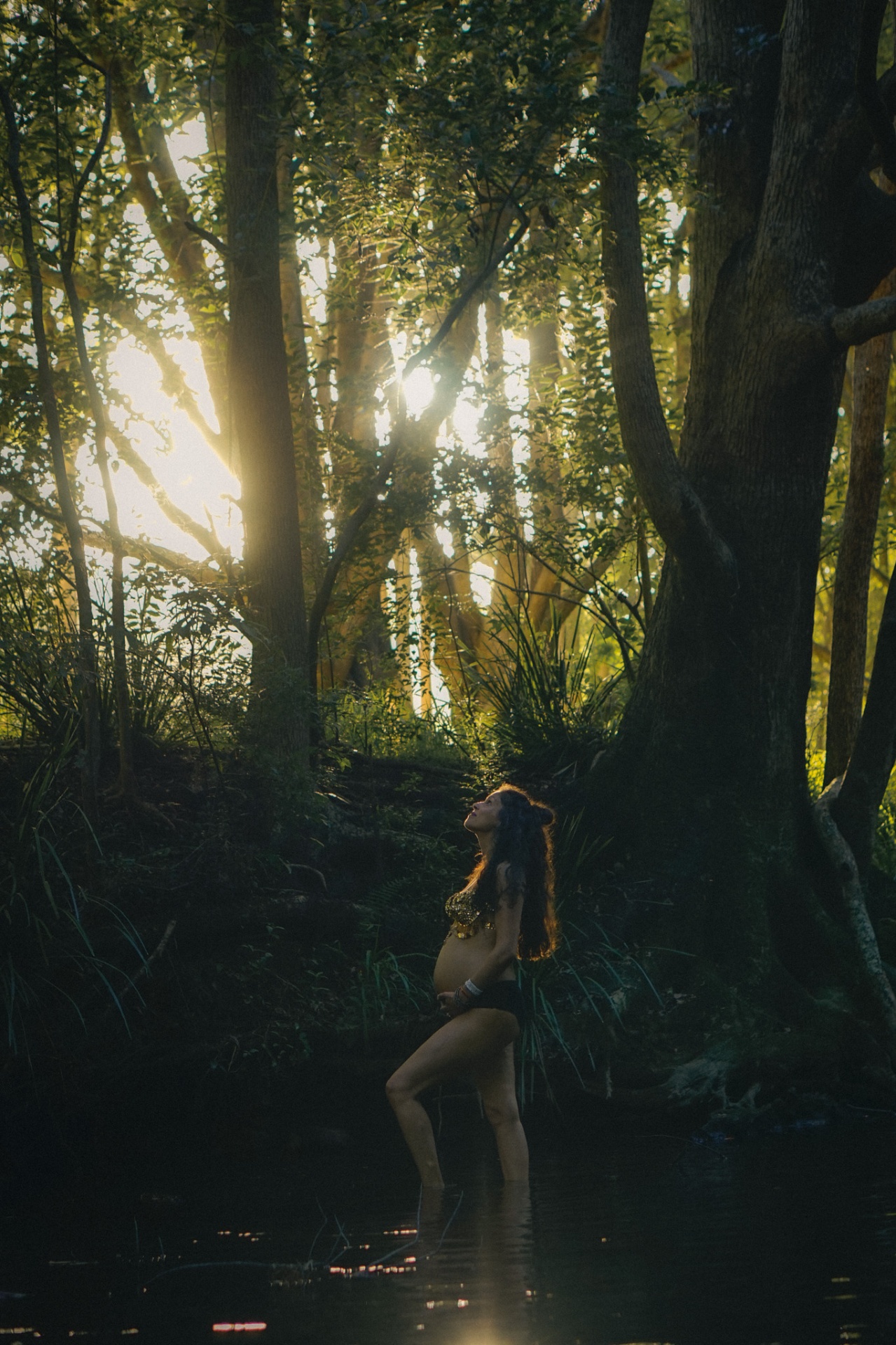 Wide maternity portrait standing in forest water at dusk